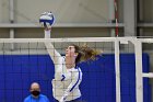 Volleyball vs Babson  Wheaton Women's Volleyball vs Babson College. - Photo by Keith Nordstrom : Wheaton, Volleyball, VB